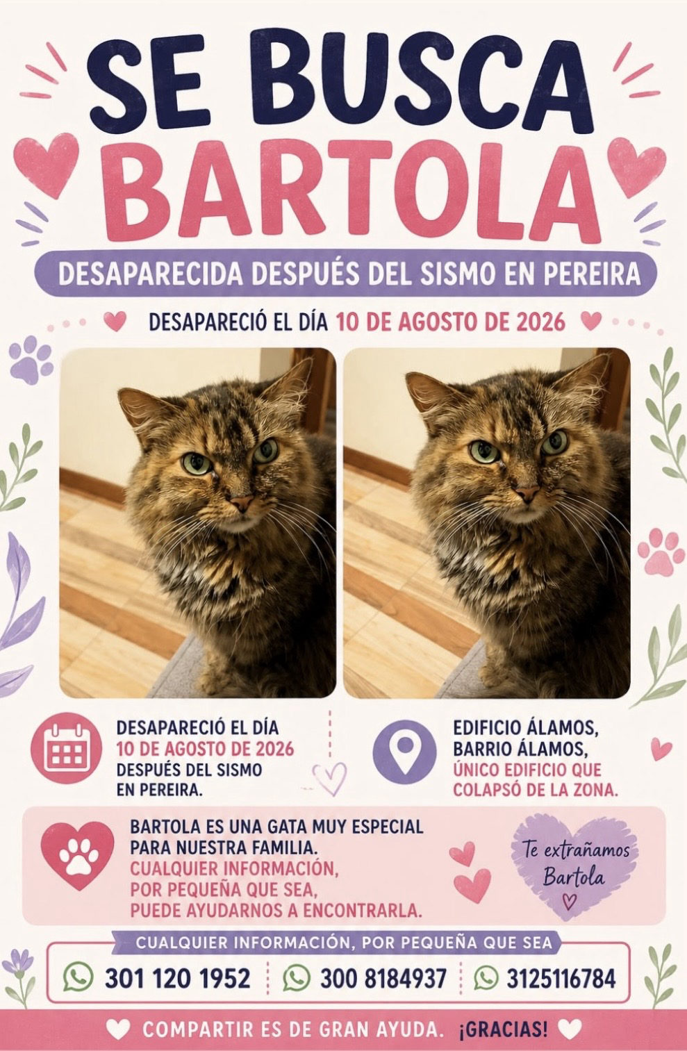 Foto adicional de Bartola