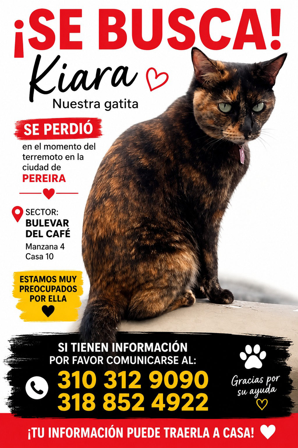 Foto de Kiara — gato