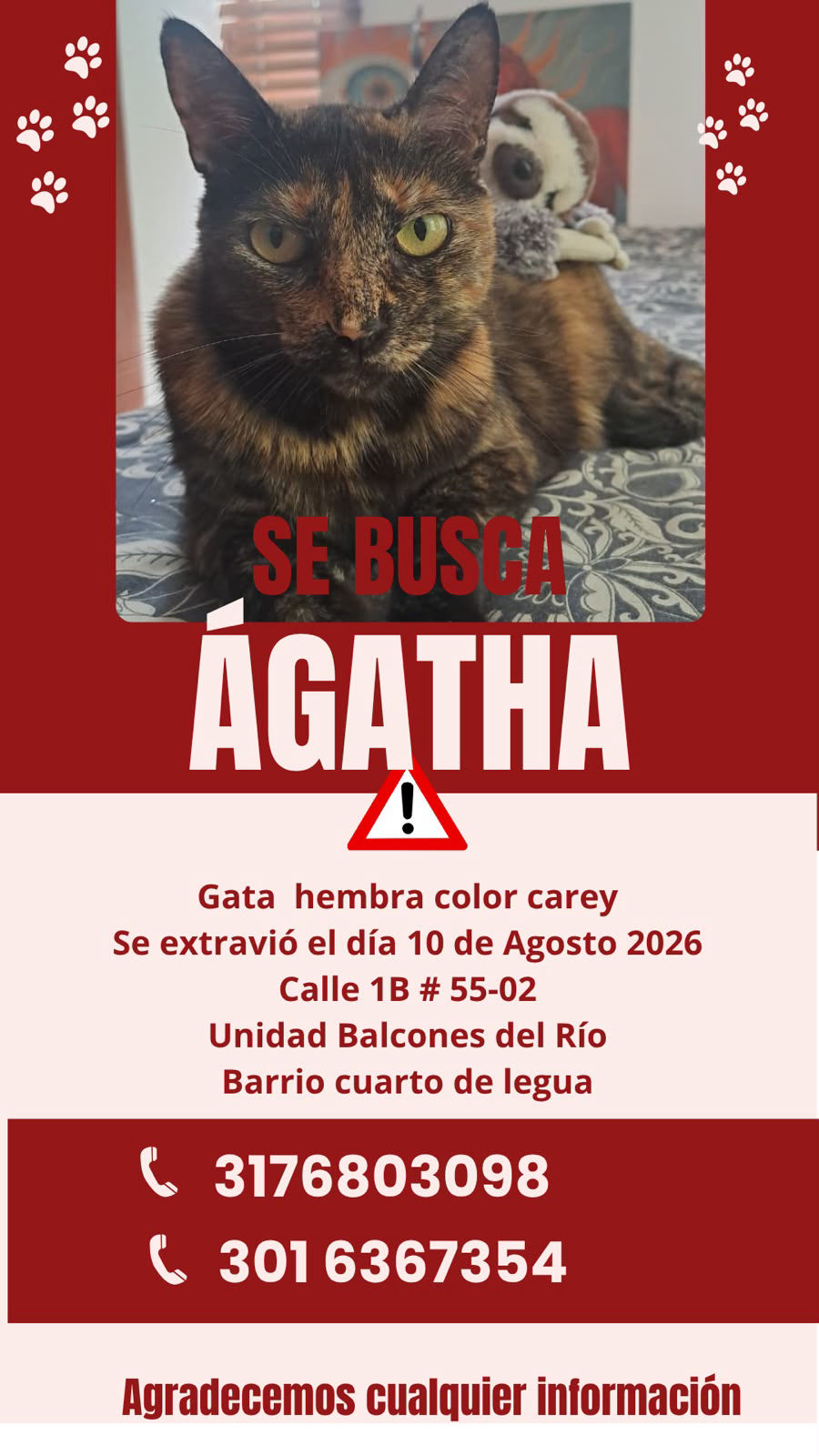 Foto de Agatha — gato