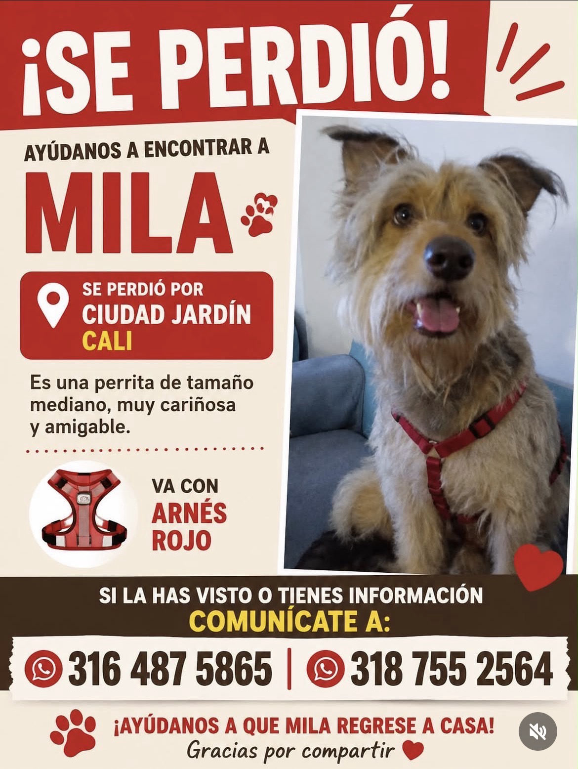 Foto de Mila — perro