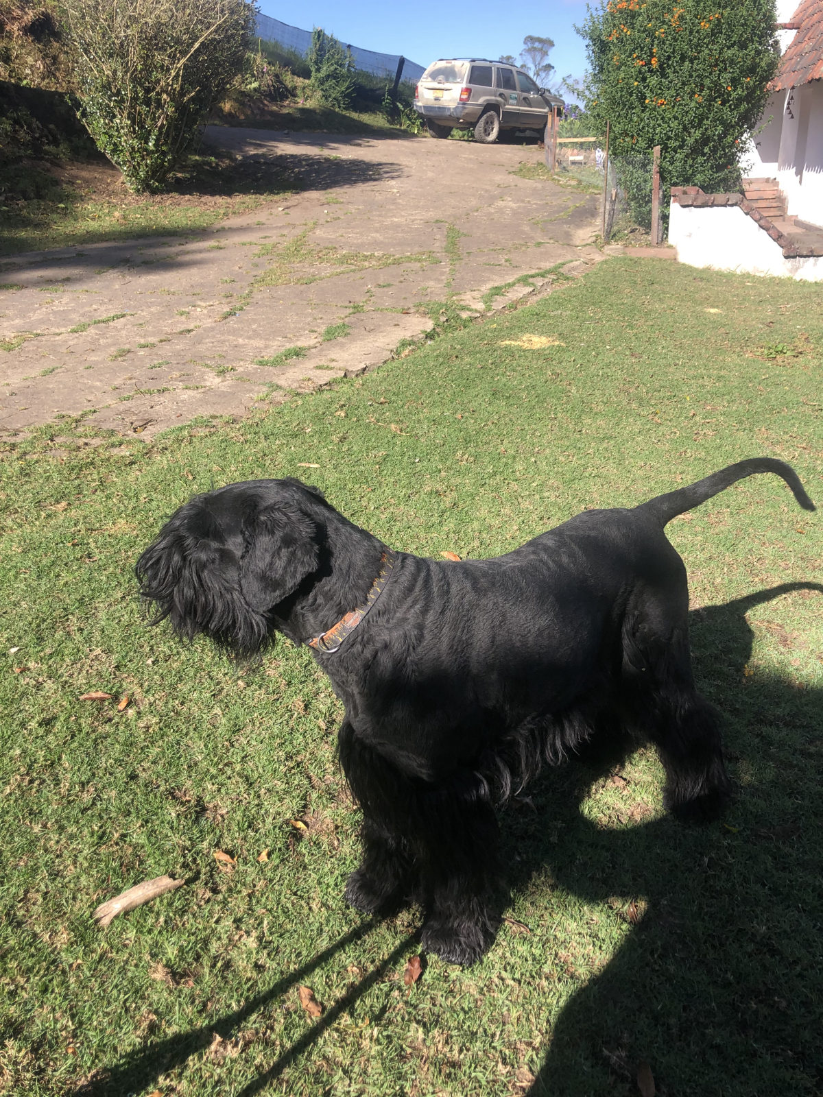Foto adicional de Leo